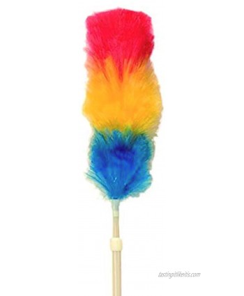 Ramon Hygiene Electrostatic Duster With Ext Handle