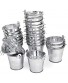 DS. DISTINCTIVE STYLE Small Metal Buckets 24 Pieces Mini Buckets with Handles 2.2 Inches Small Buckets for Party Favors or Garden Decoration