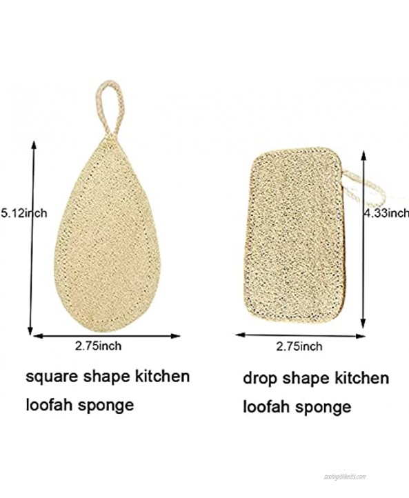 6 Pcs Loofah Kitchen Sponge Loofah Dish Scrubber Nature Dishwashing Sponge Nature Loofah Plant Biodegradable Compostable No Waste