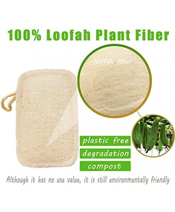 LIANGKEN 6pcs Natural Sponges for Dishes Kitchen Eco Scrub Sponge Efficiently Remove Oil Stain 100% Loofah Plant Biodegradable and Zero Waste